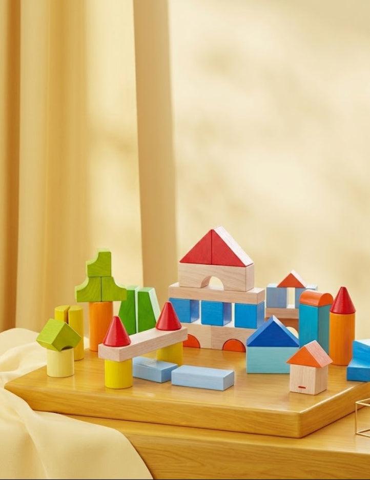 50 PC Wooden Building Blocks